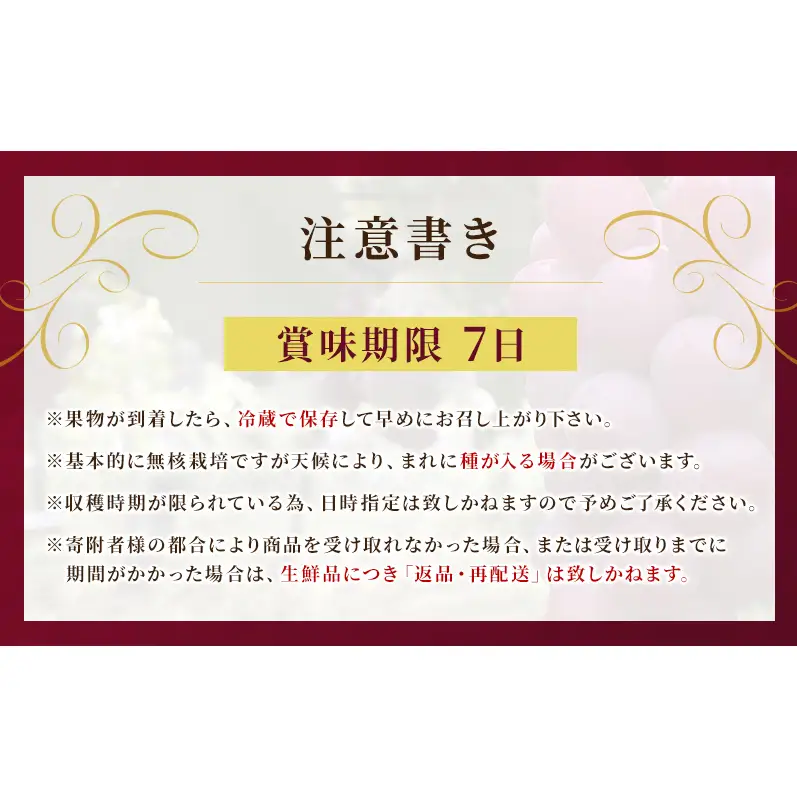 スカーレット 信州上田産 約1kg 2～3房 ぶどう ブドウ 1kg 種なし 皮ごと 果物 くだもの フルーツ デザート 旬の果物 旬のフルーツ 長野県上田市