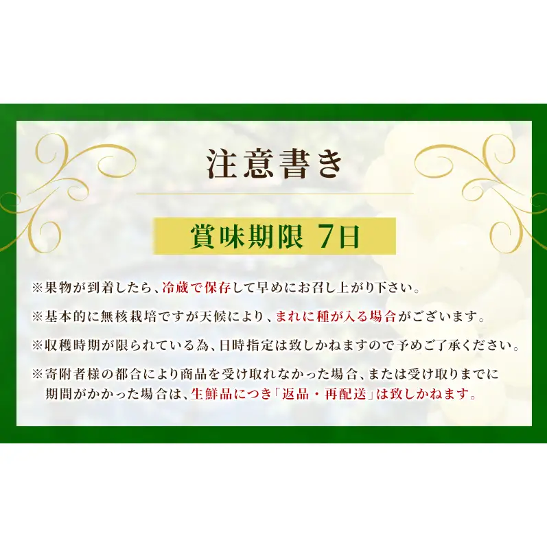マスカサーティーン 信州上田産 約1kg 2～3房 ぶどう ブドウ 1kg 種なし 皮ごと 果物 くだもの フルーツ デザート 旬の果物 旬のフルーツ 長野県上田市