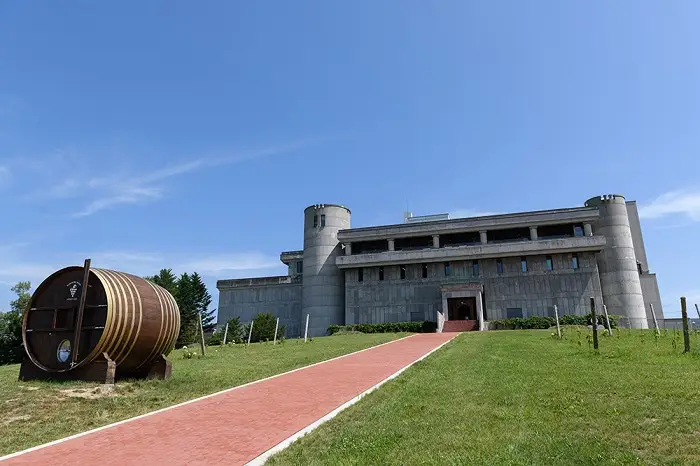 【ふるさと納税】北海道後志（しりべし）産 極上白ワイン 厳選 飲み比べ 750ml×2本 北海道 池田町 ワイン シャルドネ ソーヴィニヨン・ブラン
