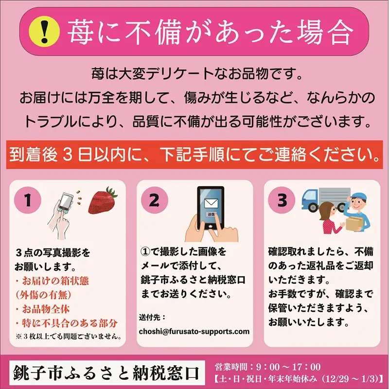 とちおとめ 約3kg いちご 【 とちおとめ 】 先行予約