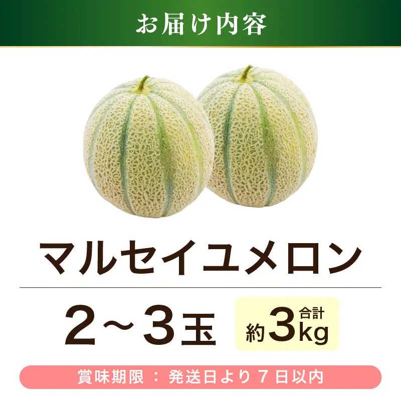 【先行予約】藤重農園自慢のマルセイユメロン 2～3玉（合計約3kg）※2027年6月中旬以降順次発送 [aw083-a005]