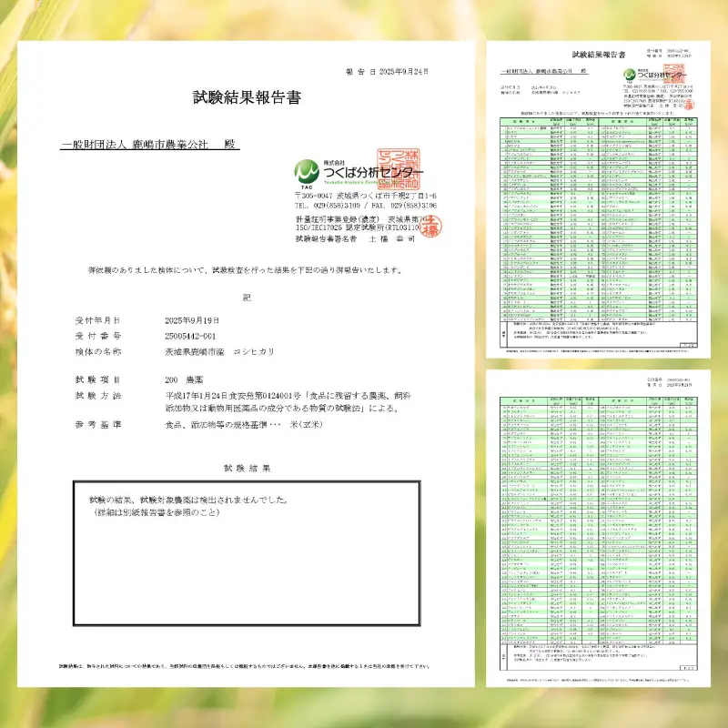 新米 こしひかり 玄米 5kg 新米 【令和8年産 先行予約限定】