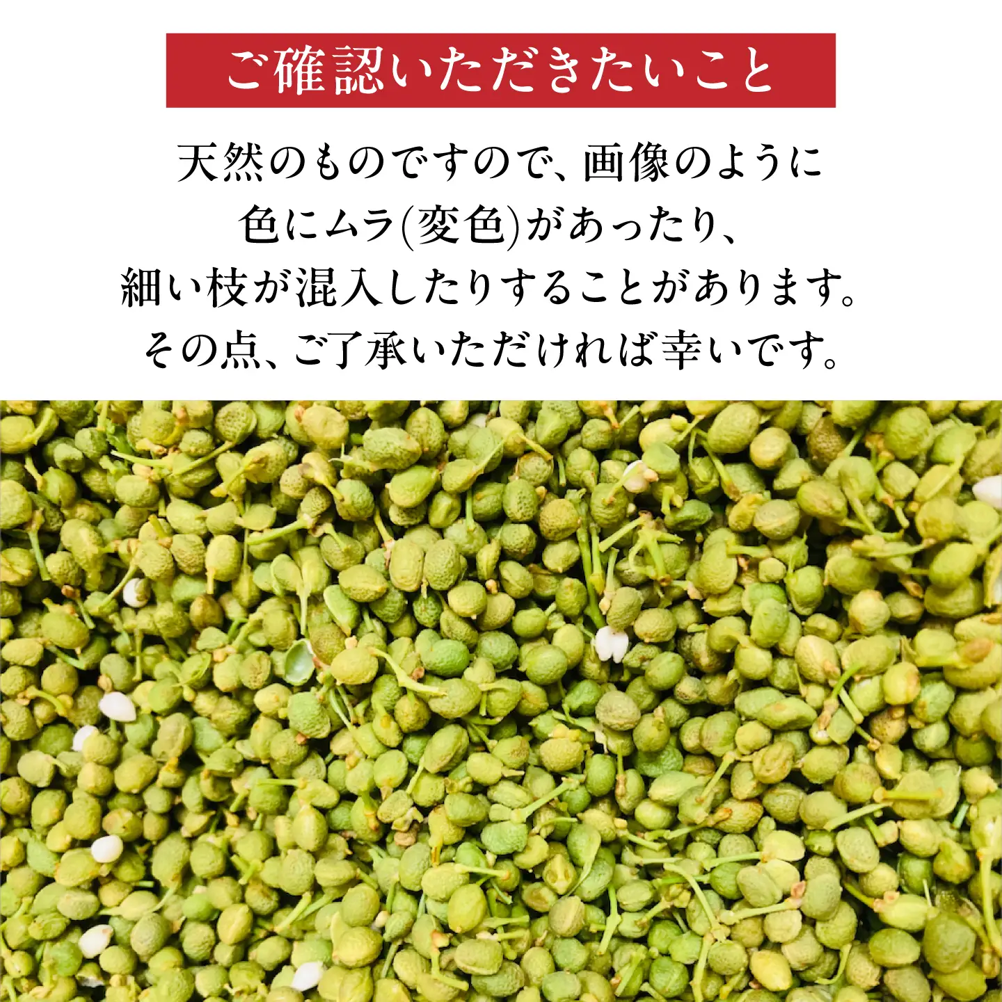 【佃煮の伊吹】青実山椒 500g [AQCA013]実山椒