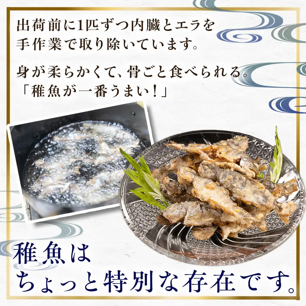 【無投薬 内臓処理済み】【希少稚魚】あめご（稚魚）100匹前後（約1kg） ／Eay-09 アメゴ 川魚