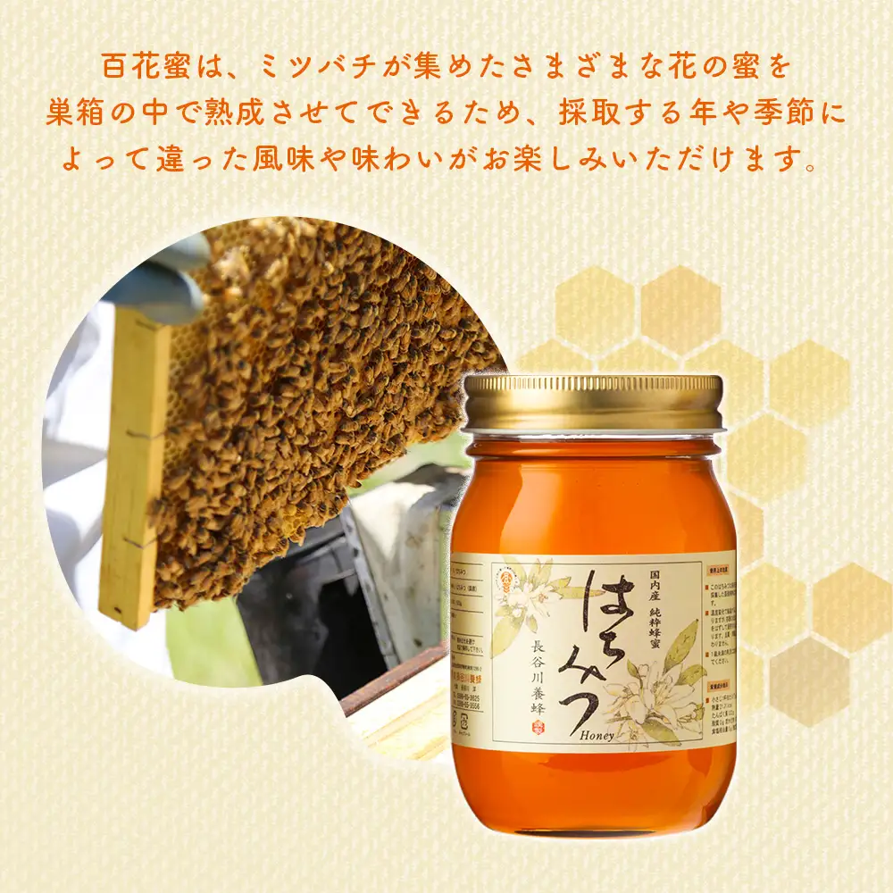 蜂蜜 250g 百花蜜 長谷川養蜂 はちみつ 蜂蜜
