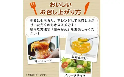 夏 みかん 7.2kg / みかん 甘い 柑橘  果物 和歌山 ※2027年4月中旬頃〜4月下旬頃発送予定 【uot775】