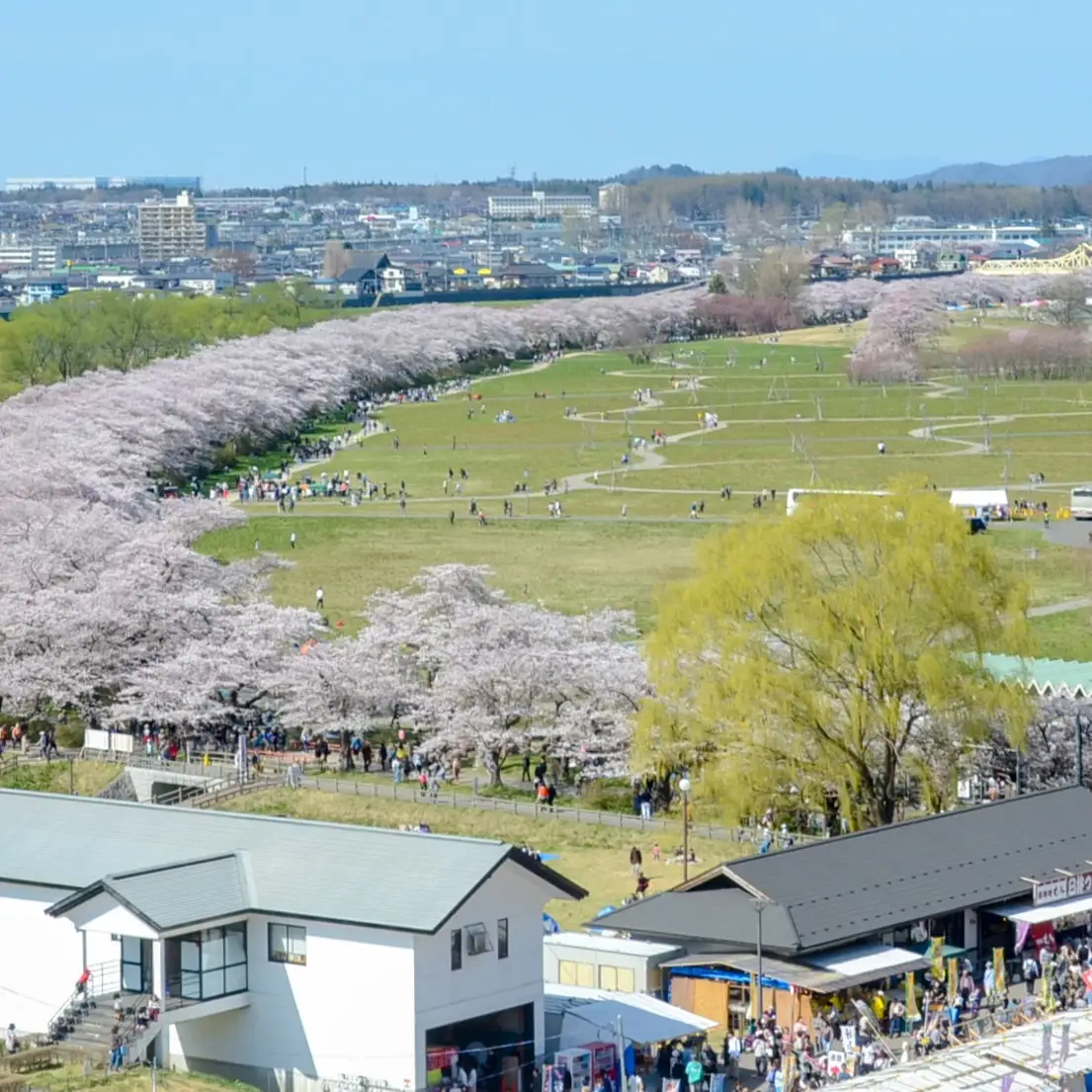 さくら染さき織コースター 2枚（リバーシブル）岩手県 北上市 桜の名所 展勝地 和の衣さとう ito(いと) アップサイクル 桜染め さき織 コースター C0616 ご当地 土産 贈り物 プレゼント 展勝地レストハウス プレゼント ギフト