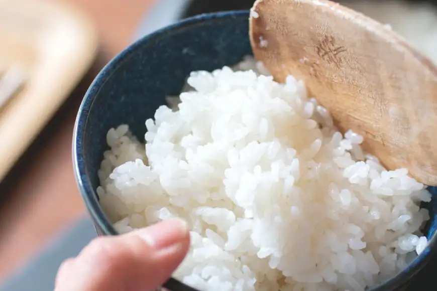 米 コシヒカリ 真空パック 精米 300g × 2袋