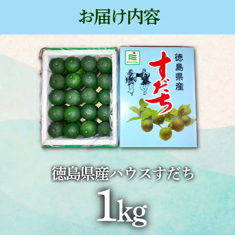 先行予約 【6月中旬～8月上旬まで順次発送】ハウス すだち 1kg