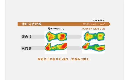 【 Sealy 】 スポーツ パワー マッスル マットレス （ ダブル ）