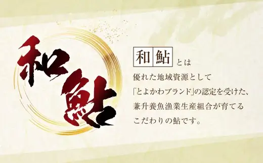 【 とよかわ鮎 】 冷凍 約1kg 厳選鮎使用！ （ 急速冷凍 ）