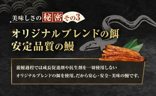 【7月13日までの入金確認で土用の丑の日までにお届け】めぐみうなぎ 蒲焼き 3尾 セット うなぎ 鰻 ウナギ 魚類 うな重 うな丼 晩ごはん 惣菜 おかず 贅沢 冷凍 国産 大阪府産 養殖 無投薬 