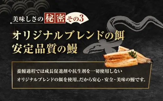 【7月13日までの入金確認で土用の丑の日までにお届け】めぐみうなぎ 白焼き 3尾 セット うなぎ 鰻 ウナギ 魚類 うな重 うな丼 晩ごはん 惣菜 おかず 贅沢 冷凍 国産 大阪府産 養殖 無投薬