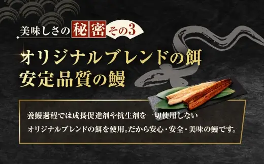 【7月13日までの入金確認で土用の丑の日までにお届け】めぐみうなぎ 紅白 2尾 セット うなぎ 鰻 ウナギ 魚類 うな重 うな丼 晩ごはん 惣菜 おかず 贅沢 冷凍 国産 大阪府産 養殖 無投薬 