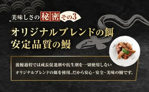 【 珍味 】 めぐみうなぎの肝 お酒のおつまみ 50g × 8パック うなぎ 鰻 ウナギ 魚類 土用丑の日 晩ごはん 惣菜 おかず 贅沢 冷凍 国産 大阪府産 養殖 無投薬 酒肴