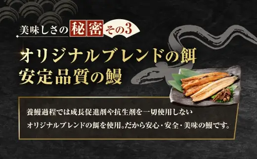 【7月13日までの入金確認で土用の丑の日までにお届け】めぐみうなぎ 堪能うなぎづくし セット 【 蒲焼 × 4 ／ 白焼き × 2 ／ 肝 × 2 】 うなぎ 鰻 ウナギ 魚類 うな重 うな丼 晩ごはん 惣菜 おかず 贅沢 冷凍 国産 大阪府産 養殖 無投薬 