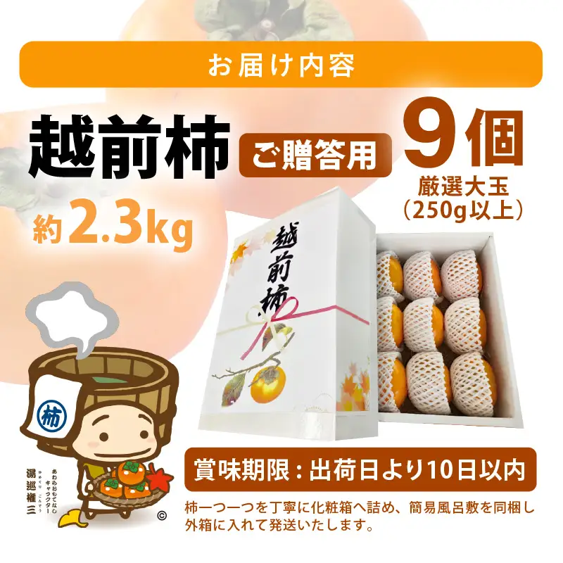 【先行予約】【2026年11月中旬以降発送予定】秋の味覚を贈り物に！厳選「越前柿」大玉 9個（ご贈答用）／ 果物 フルーツ 産地直送 期間限定 ※2026年11月中旬以降発送予定 [aw031-a005_11]