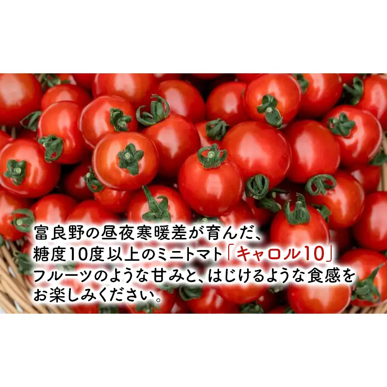 ミニトマト キャロル10 訳あり 富良野産 ミニトマト【約3kg】