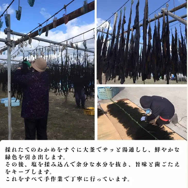 磯の香りあふれる最高級淡路島産肉厚おさしみわかめ　180g×5袋
