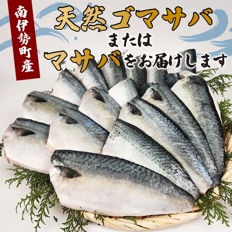 訳あり 無塩サバ フィレ 2kg さば 鯖