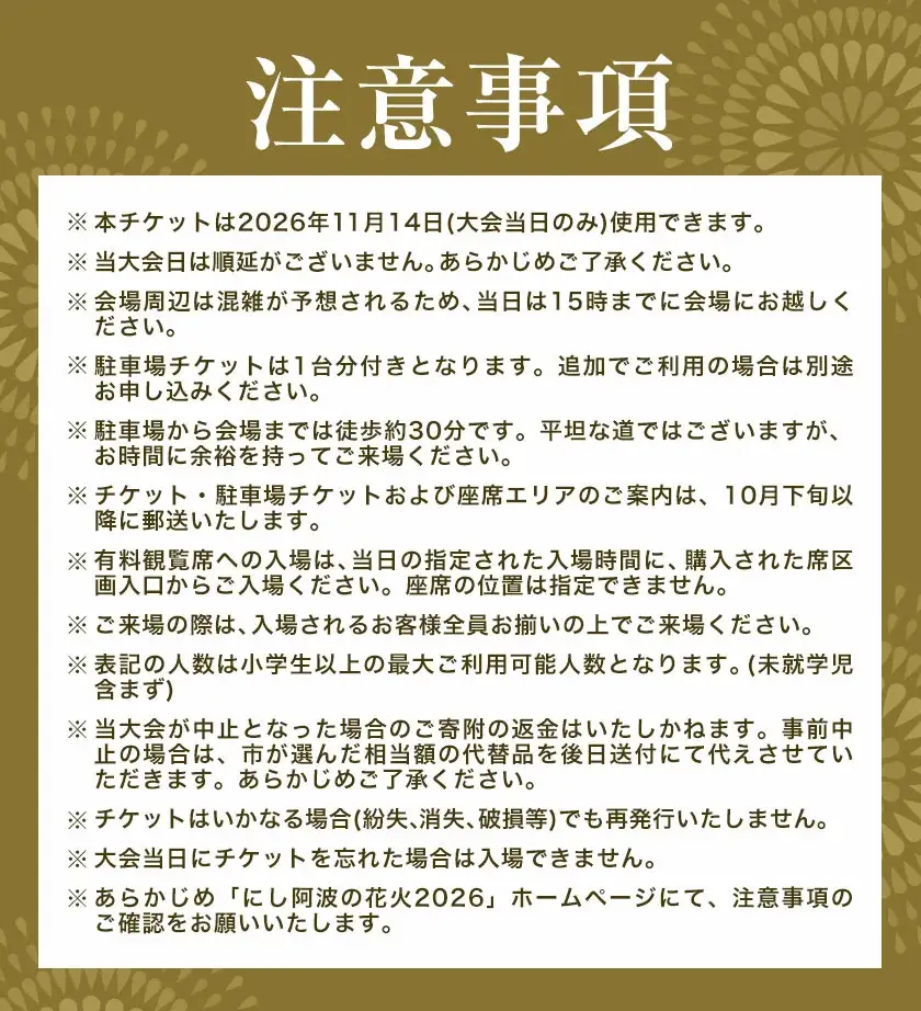 にし阿波の花火 10人マスシート 花火