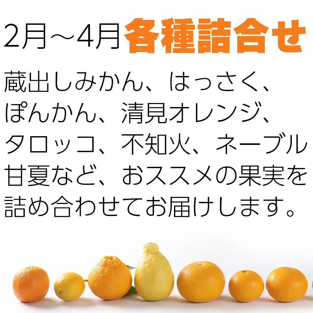 ［定期便 全8回］和歌山県鈴木農園産 旬のフルーツ定期便