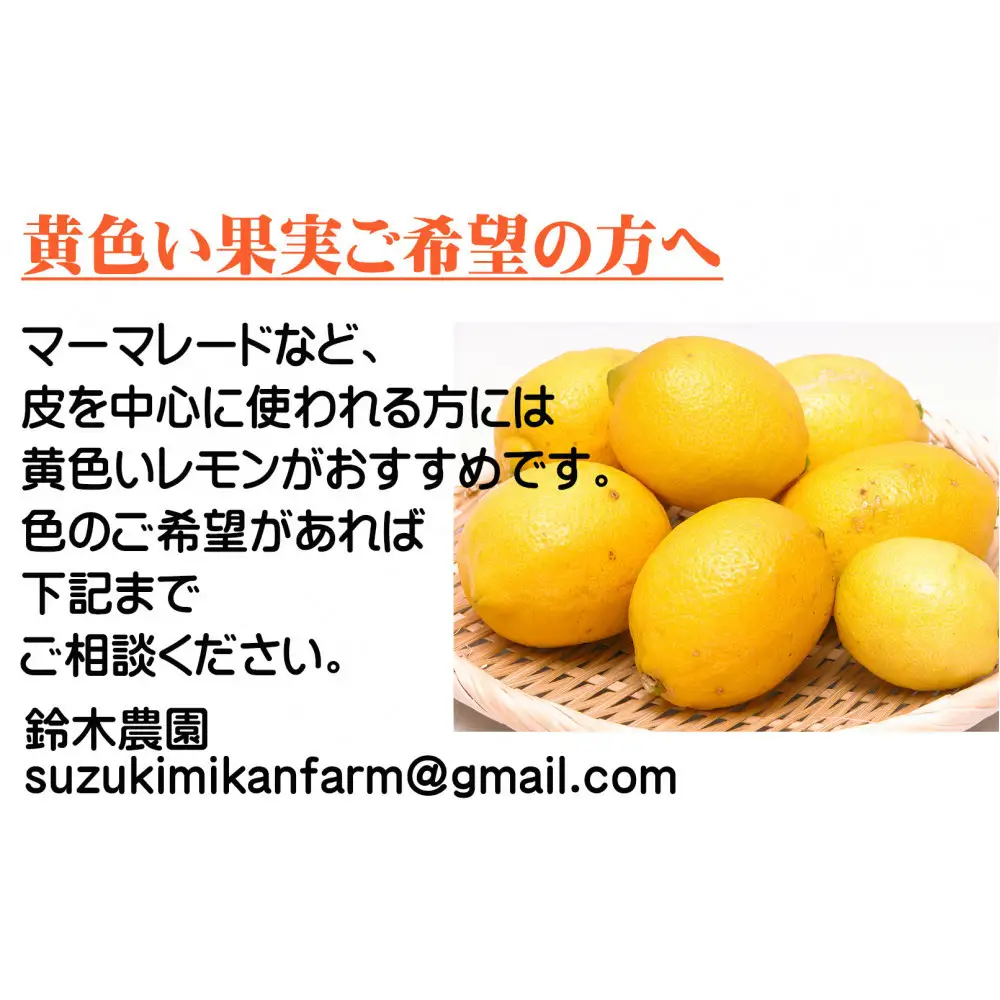 レモン 約3kg 大小混合サイズ 11月～2月に鈴木みかん農園より農園直送！ 青いレモン 黄色いレモン ※北海道・沖縄・離島への配送不可