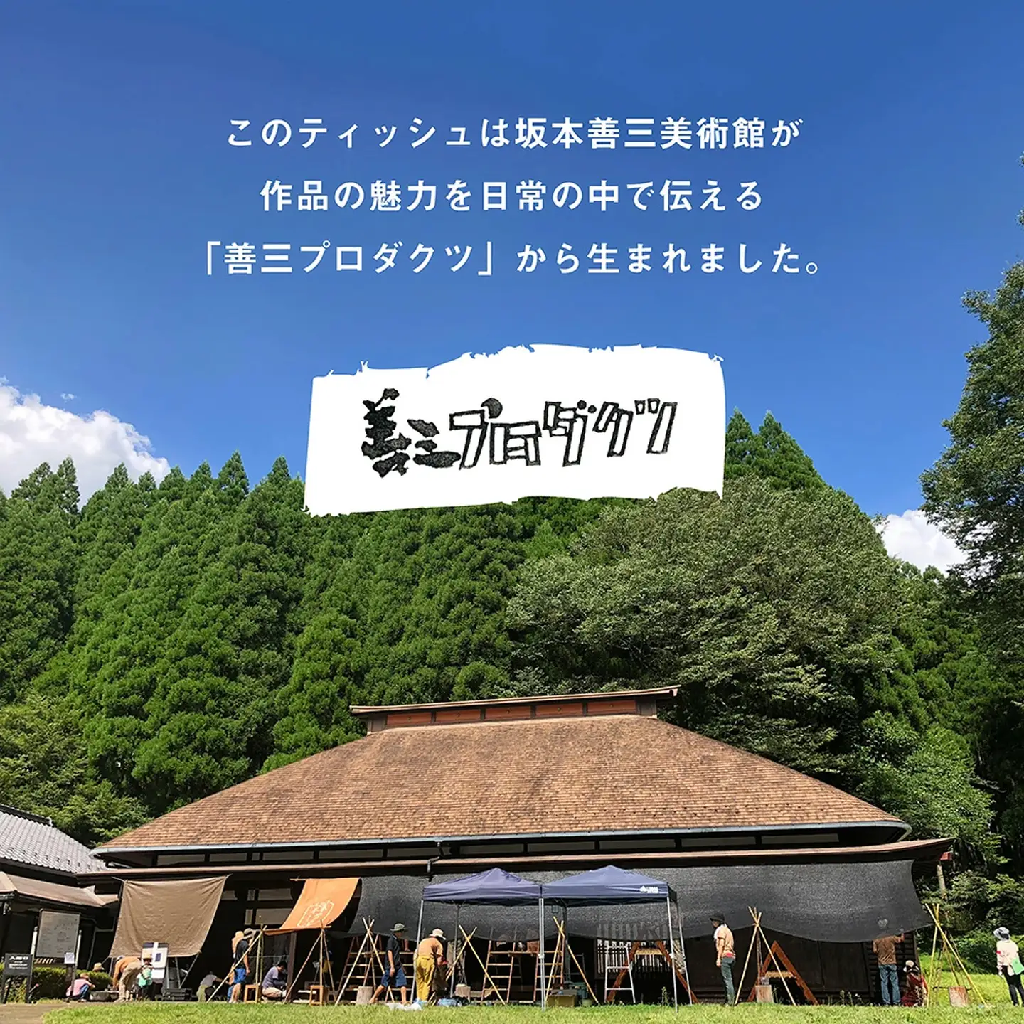 【令和8年9月～出荷】小国町オリジナル ボックスティッシュ 50箱 300枚 150組 15000枚 7500組 ティッシュペーパー ピュアパルプ 柔らか 坂本善三美術館監修 東洋の寡黙 グレーの画家 作品82 生活応援 日用品 必需品 まとめ買い 備蓄 熊本県 小国町 アート作品