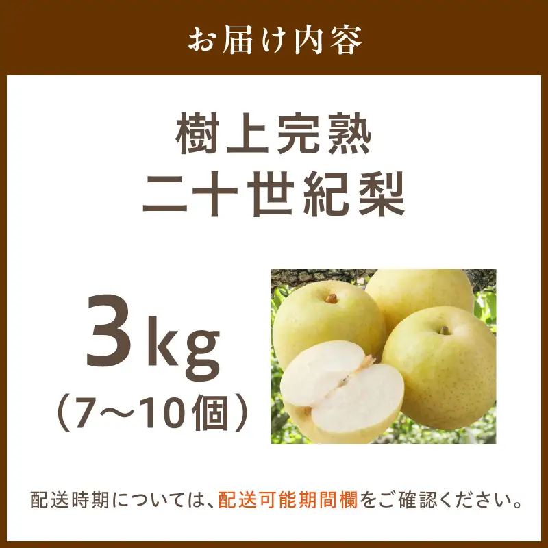 【先行予約】樹上完熟 二十世紀梨 3kg(7～10個)（2026年8月下旬～発送）　二十世紀梨 20世紀梨 梨 京丹後 なし 秋