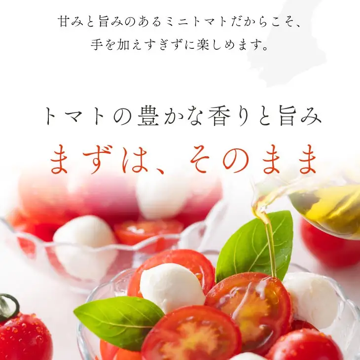 ケンちゃんファームの高糖度ミニトマト「トマトマトマト」900g