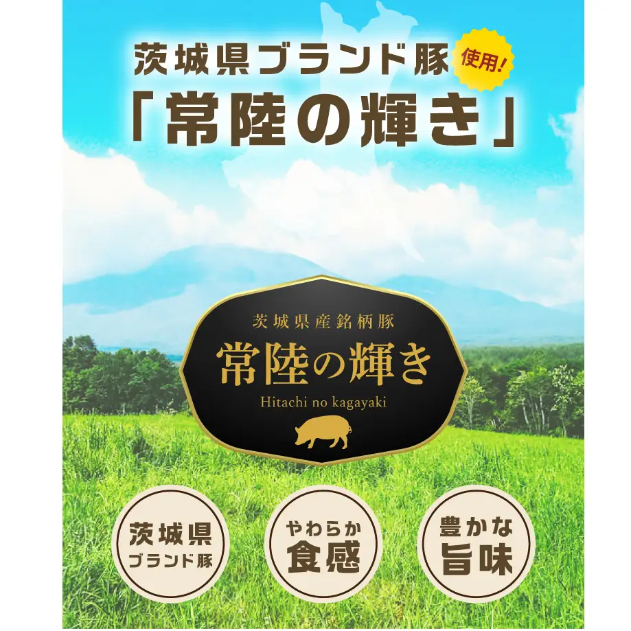常陸の輝き アイスバイン 2個合計1400g 豚肉 骨付きハム 惣菜 お取り寄せ グルメ 人気 冷凍 ドイツ料理 おかず ご当地グルメ ディナー ごちそう パーティー【茨城県共通返礼品/つくば市】（106-02）
