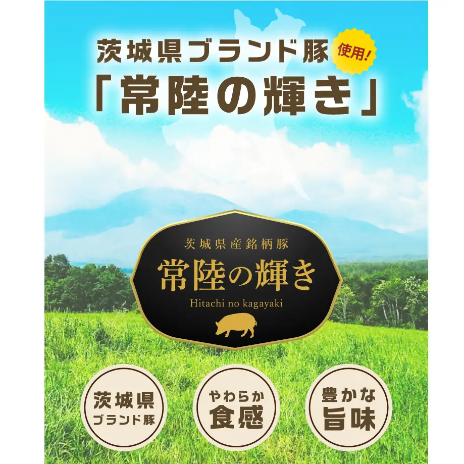常陸の輝き アイスバイン 700g【贈答用(熨斗対応可)】豚肉 骨付きハム 惣菜 お取り寄せ グルメ 人気 冷凍 ドイツ料理 おかず ご当地グルメ ディナー ごちそう パーティー【茨城県共通返礼品/つくば市】（106-03）