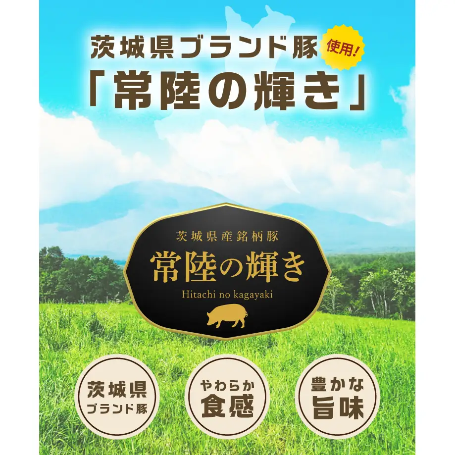 常陸の輝き アイスバイン 2個合計1400g【贈答用(熨斗対応可)】豚肉 骨付きハム 惣菜 お取り寄せ グルメ 人気 冷凍 ドイツ料理 おかず ご当地グルメ ディナー ごちそう パーティー【茨城県共通返礼品/つくば市】（106-04）