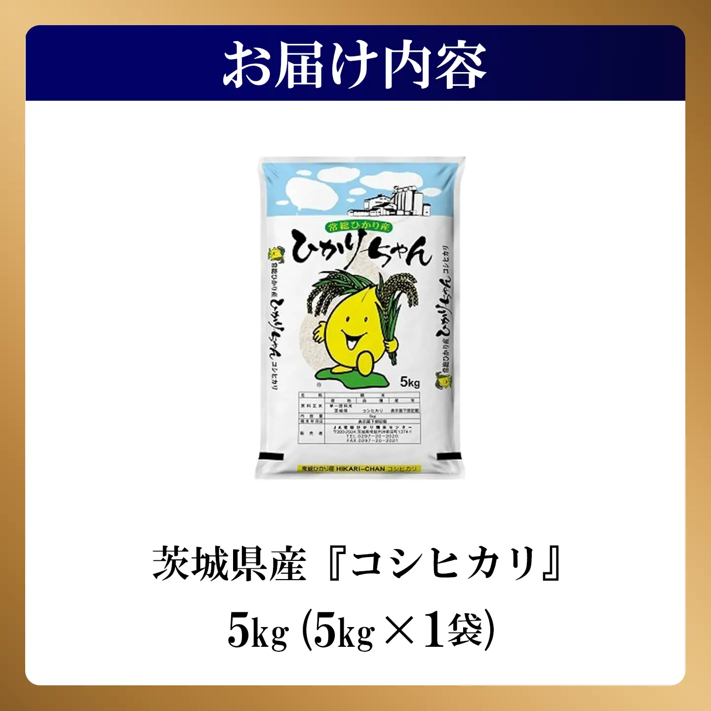 米 精米 R7年産 コシヒカリ 5kg 9月