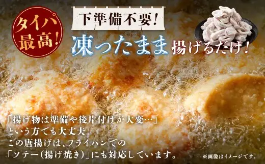 国産するめいか唐揚げ 約500g 冷凍 国産 スルメイカ いか イカ 唐揚げ AS-0148