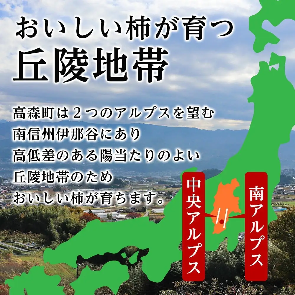 【令和8年発送】南信州高森町産 ご家庭用 干し柿1㎏