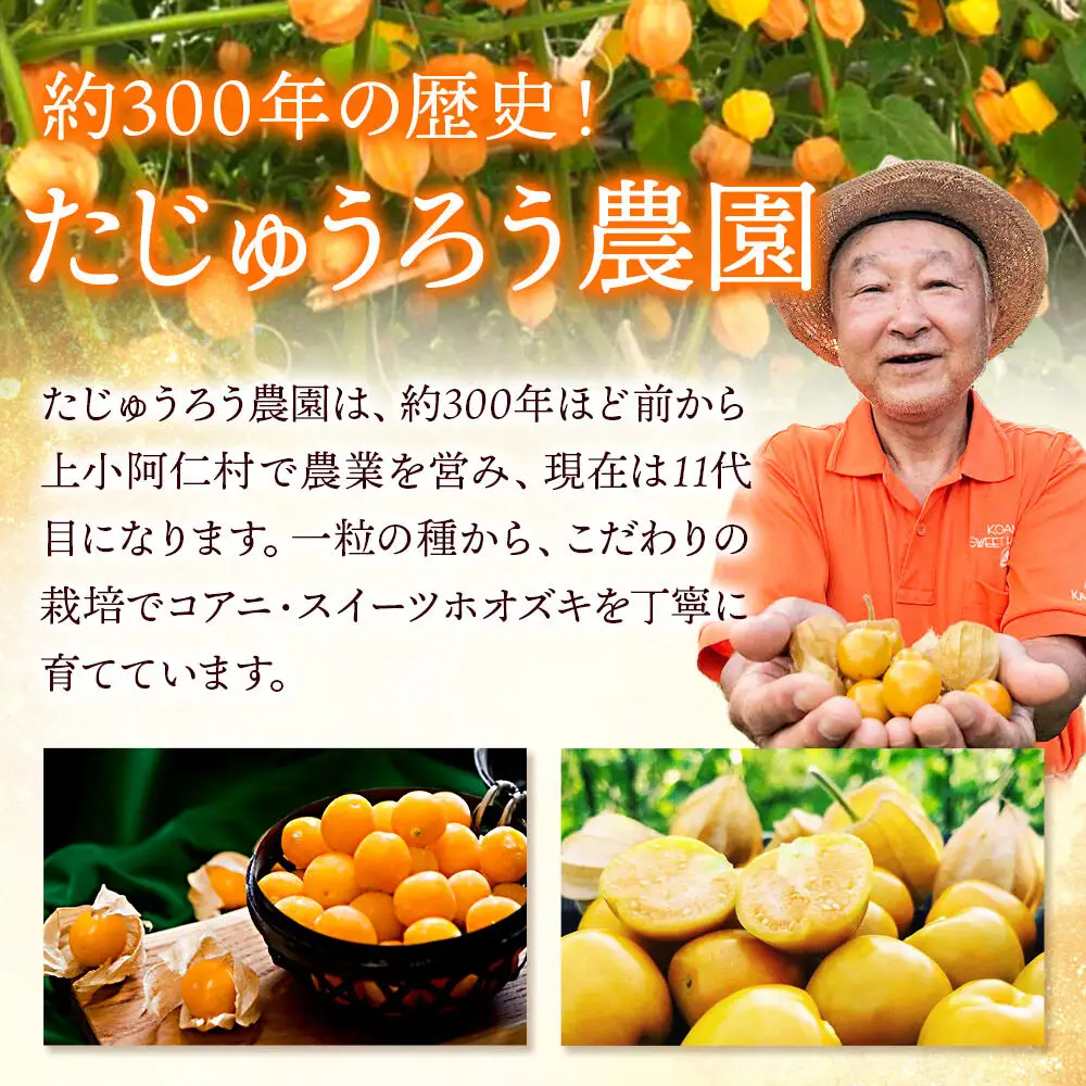 【9月下旬～12月下旬発送】《冷凍》コアニ・スイーツホオズキ 1kg 食用ほおずき ゴールデンベリー スーパーフード たじゅうろう農園【先行予約】