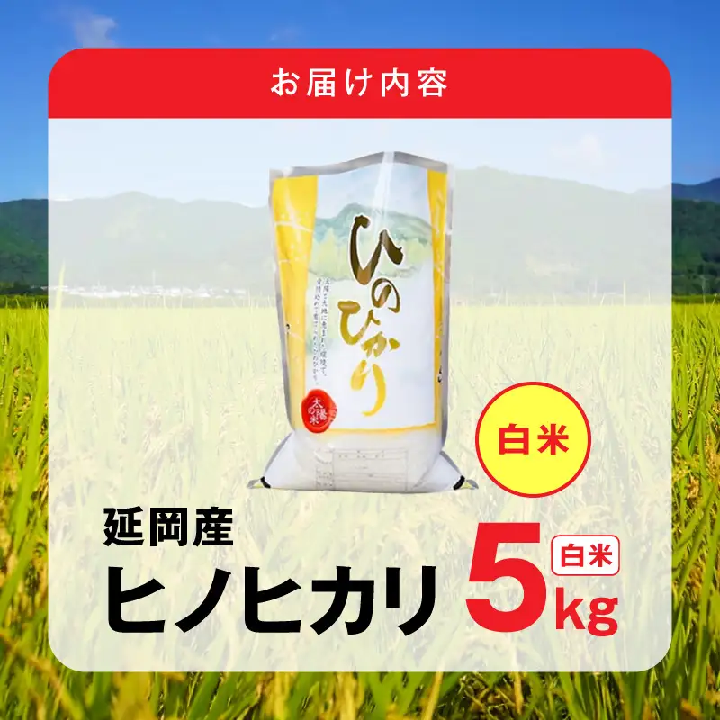 延岡産ヒノヒカリ（白米）5kg N0218-YA982