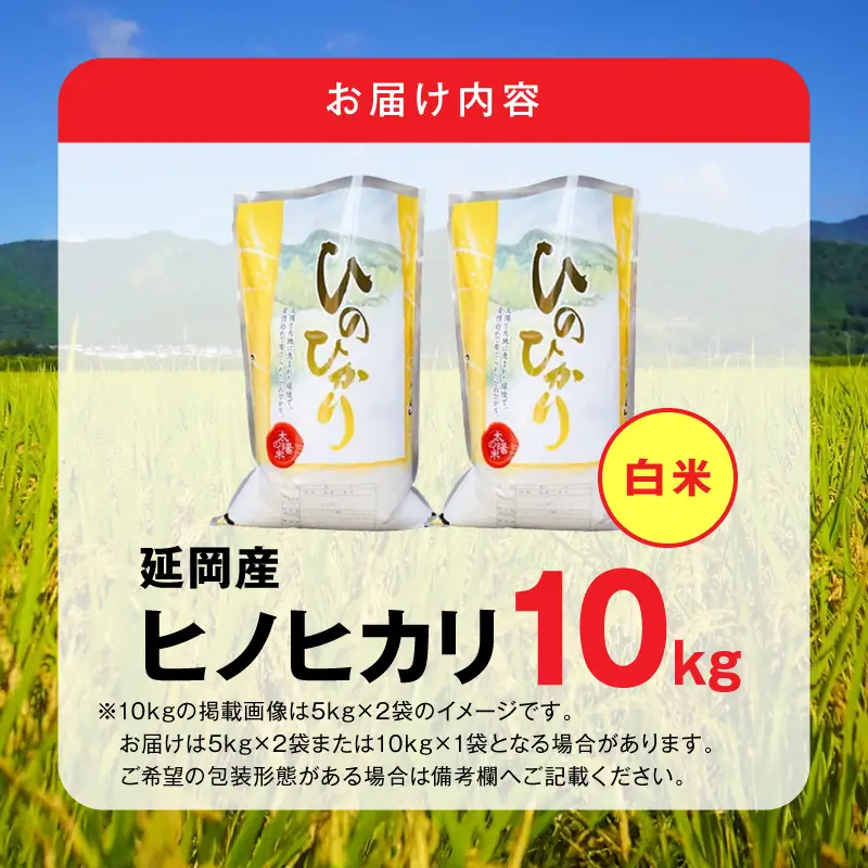 延岡産ヒノヒカリ（白米）10kg N0218-YC814