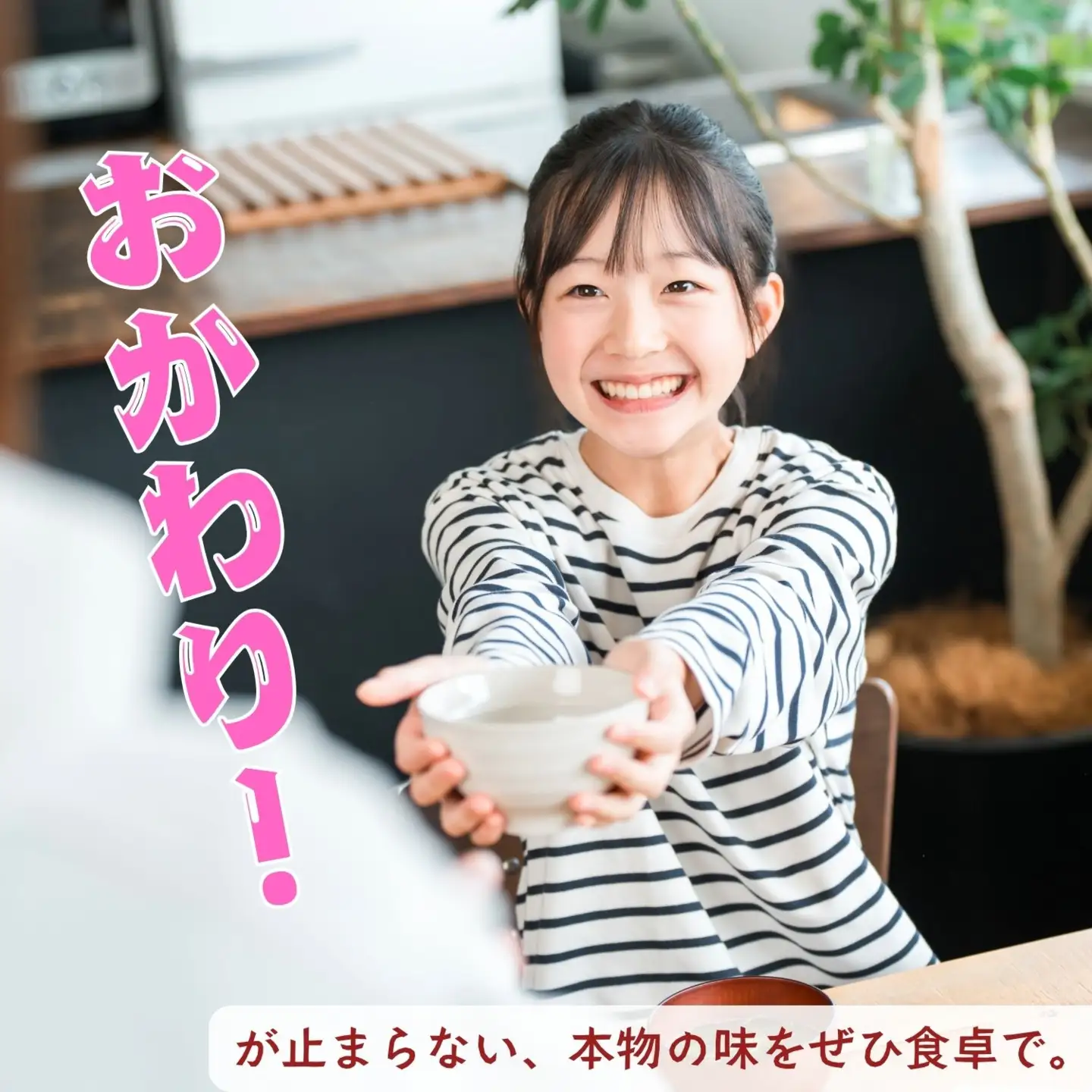 【令和7年産米】沼田さんちの満点 こしひかり 精米 10kg （5kg×2袋） | お米 米 コメ ご飯 ごはん 白米 コシヒカリ 美味しい オススメ 長野県 飯山市 特A (7-58B)