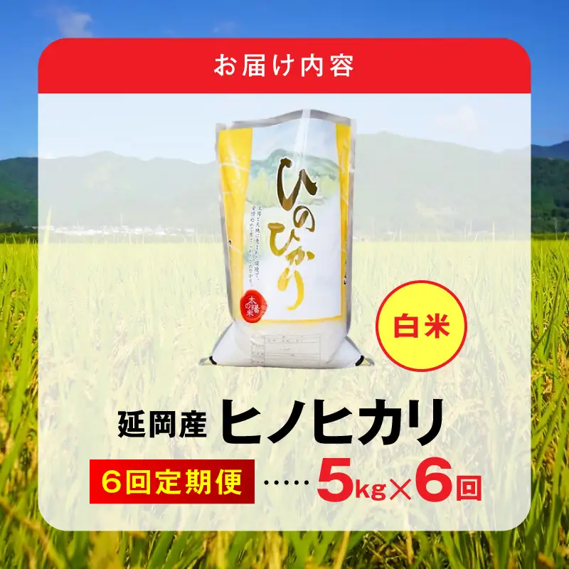 延岡産ヒノヒカリ（白米）5kg 6ヶ月定期便 N0218-YG0261