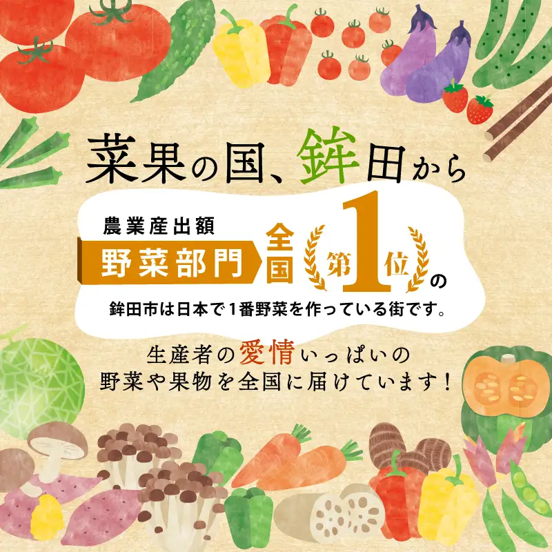 さつまいも 生芋 紅はるか 8kg 訳あり サツマイモ 【9月下旬～11月下旬発送】