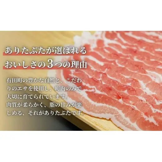 【3回定期便 総計3.0kg！真空個包装で便利】ありたぶた ロース 厚切り とんかつ用 3ヶ月 連続 定期便 1kg（100g×10パック）【有田まちづくり公社】佐賀県産 有田町産 ブランド豚 ありたぶた 豚 ぶた 豚肉 ロース肉 とんかつ トンテキ ステーキ 小分け 全3回 zh015
