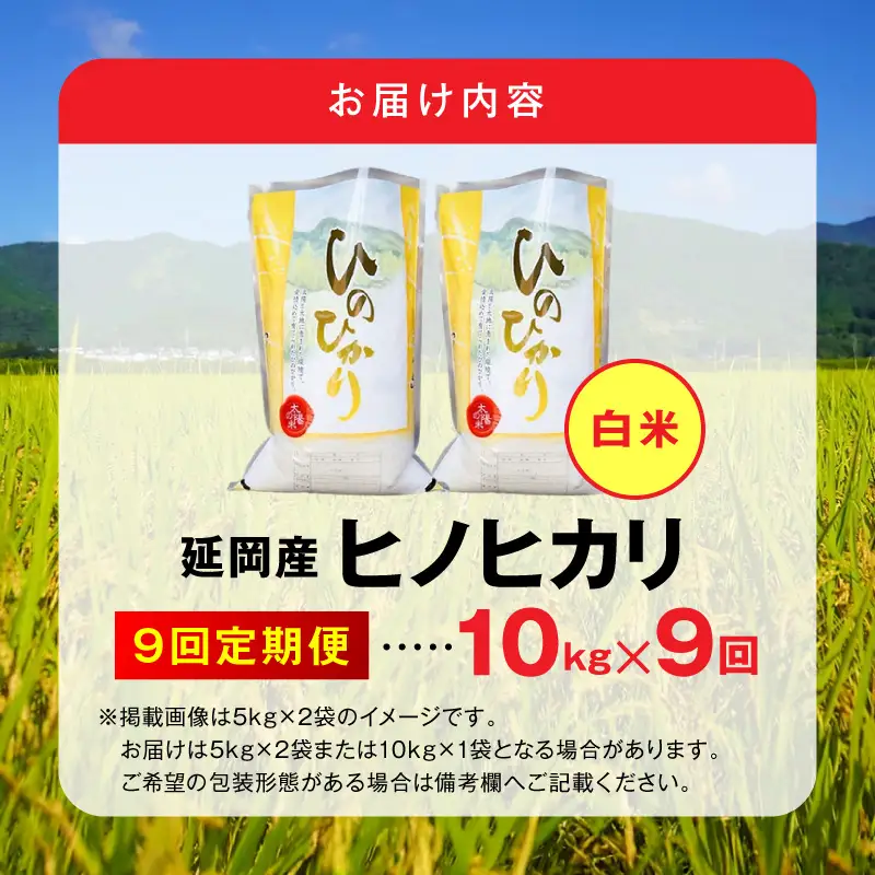 延岡産ヒノヒカリ（白米）10kg 9ヶ月定期便 N0218-YI032