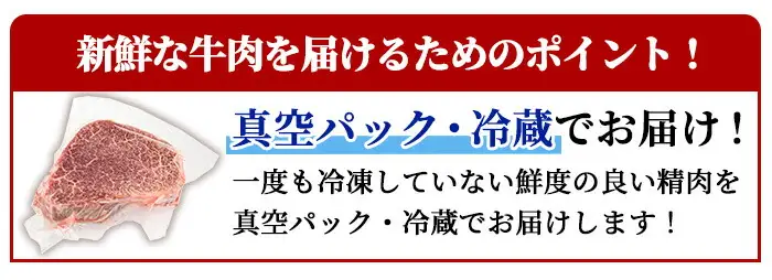 鹿児島県産 A5 黒毛和牛 極厚 シャトーブリアン(計600g・300g×2枚)【KNOT】 D55