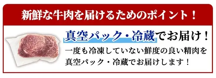 鹿児島県産 A5 黒毛和牛 贅沢 ご褒美 ヒレステーキ(計300g・150g×2枚)【KNOT】B212