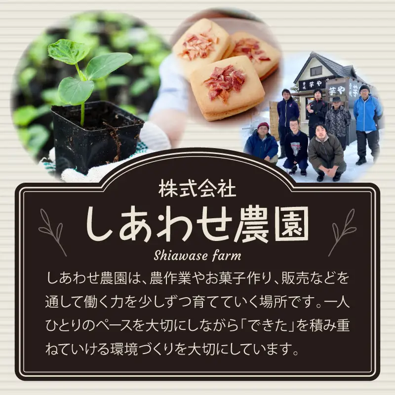 りんご バターサンド 6個入×2箱 個包装 バターサンドクッキー