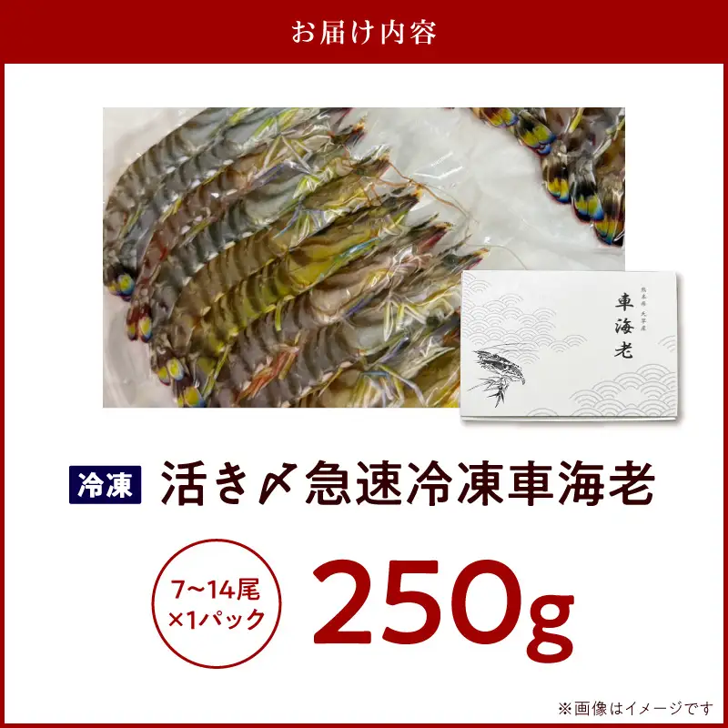S187-001_生食可 活き〆急速冷凍車海老250g