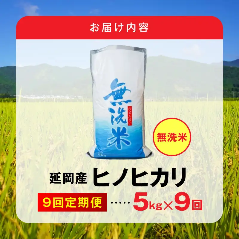 延岡産ヒノヒカリ（無洗米）5kg 9ヶ月定期便 N0218-YH072