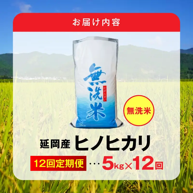 延岡産ヒノヒカリ（無洗米）5kg 12ヶ月定期便 N0218-YH073